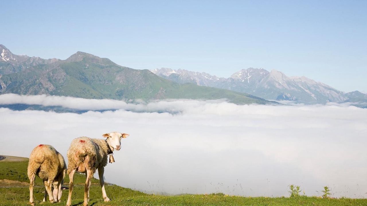 Photo of Outdoor in Saint-Savin