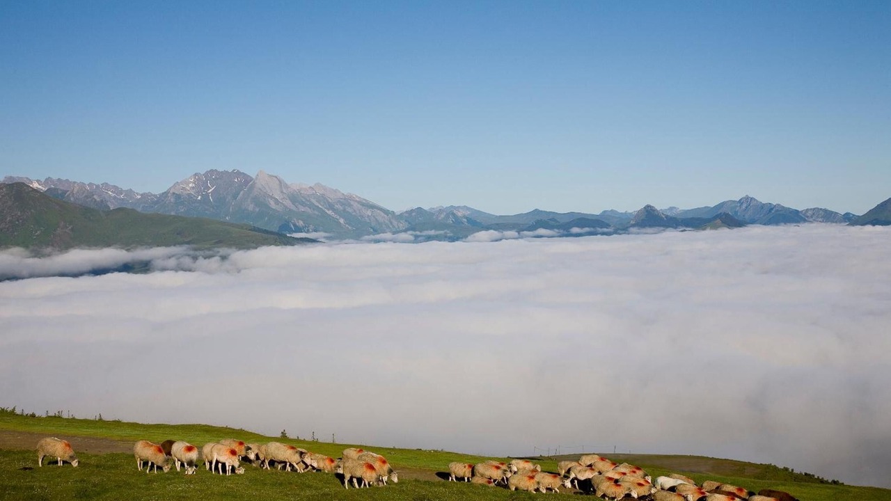 Photo of Outdoor in Saint-Savin