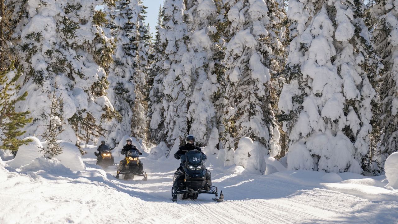 Photo of Others in West Yellowstone