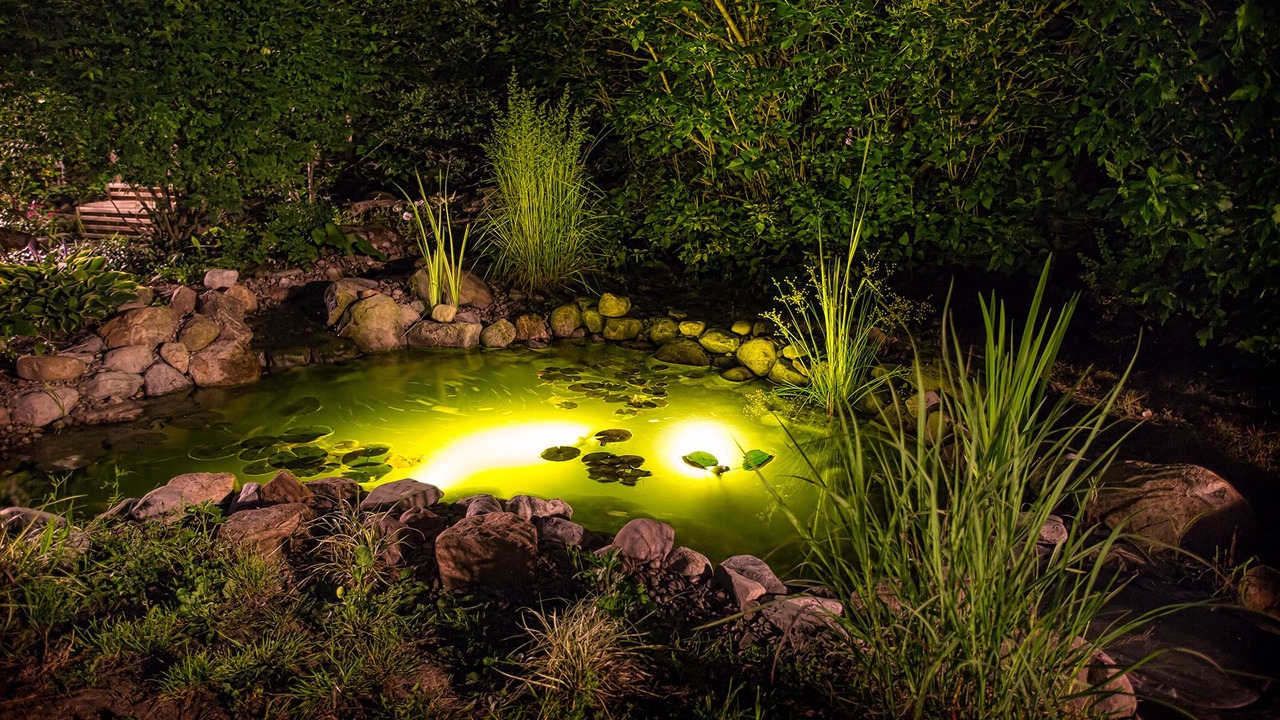 Photo of Outdoor in Mount Morris