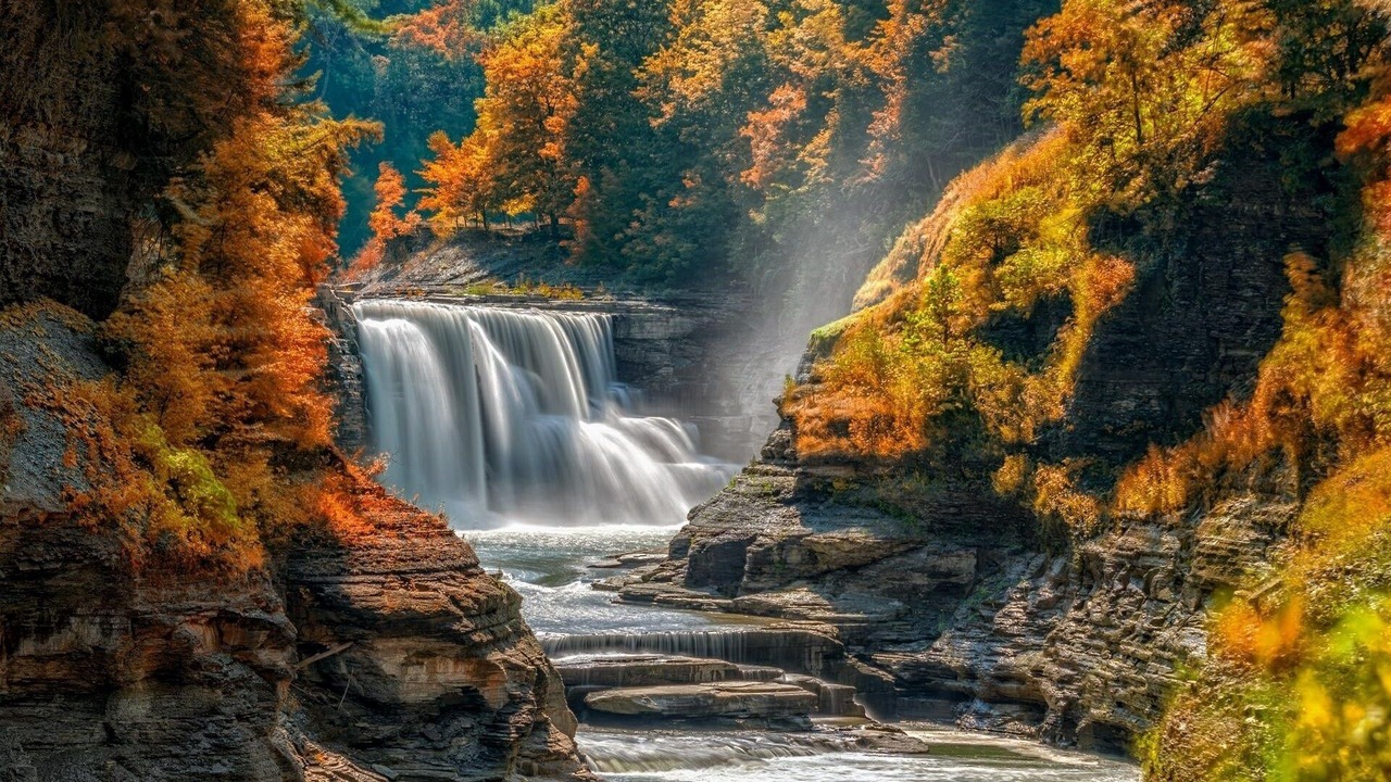 Photo of Others in Mount Morris