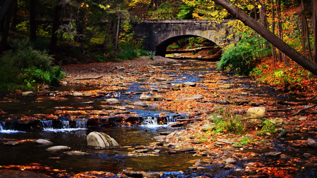 Photo of Others in Mount Morris