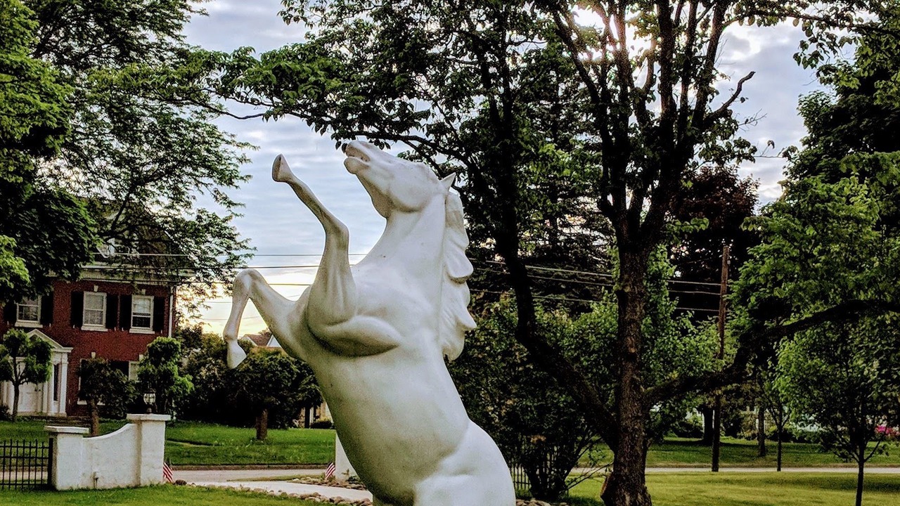 Photo of Outdoor in Mount Morris