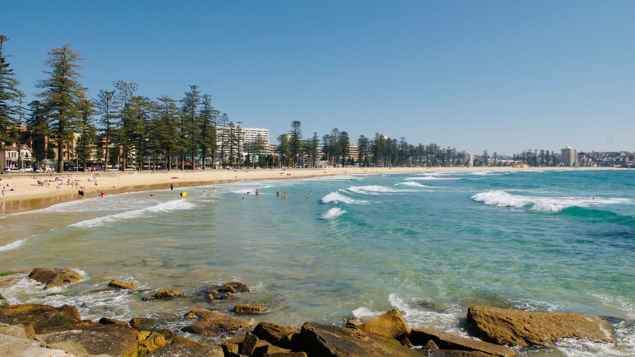 Photo of Others in Manly