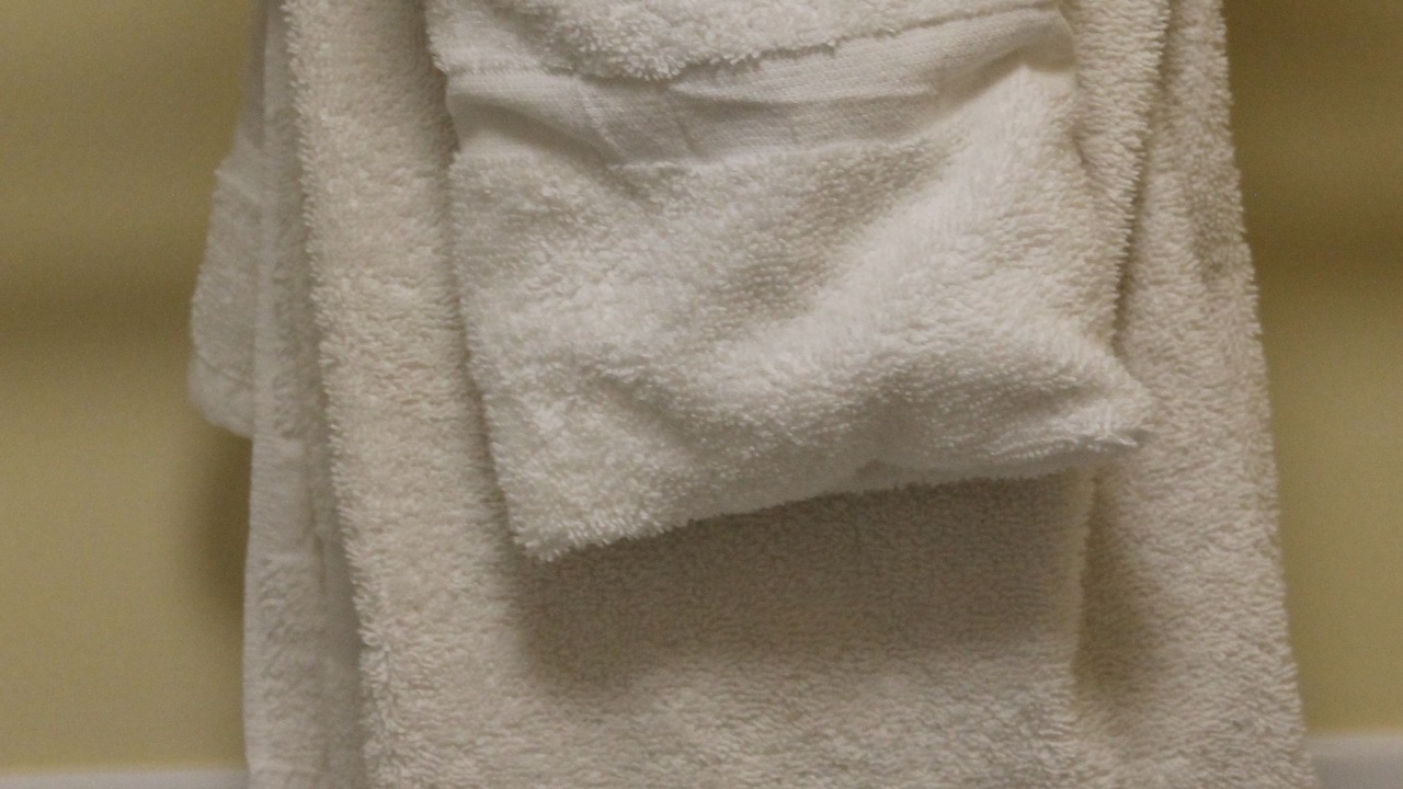 Photo of Others in Orleans