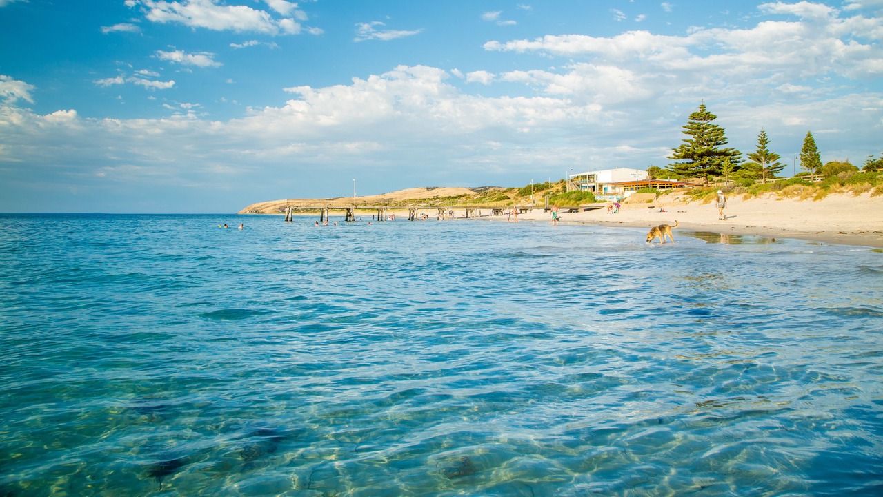 Photo of Others in Normanville