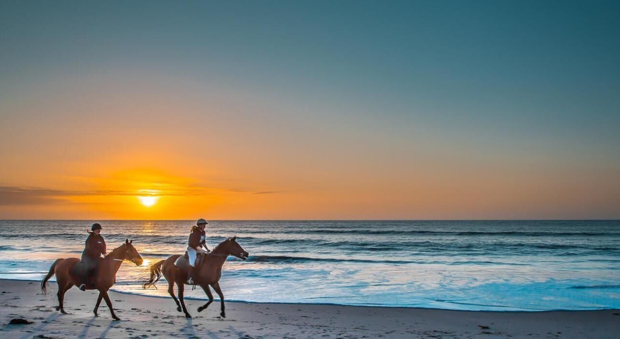 Photo of Others in Normanville