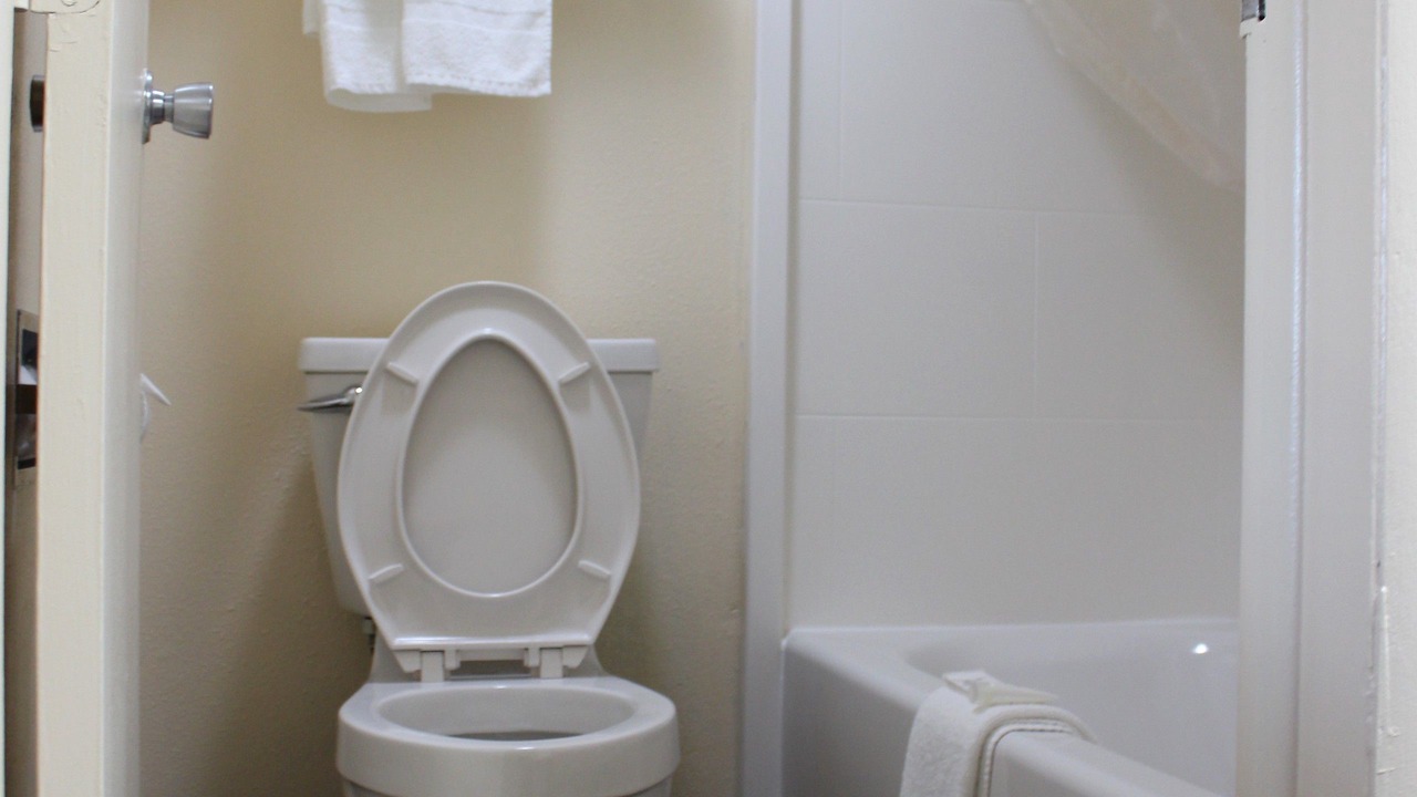 Photo of Others in Frankfort