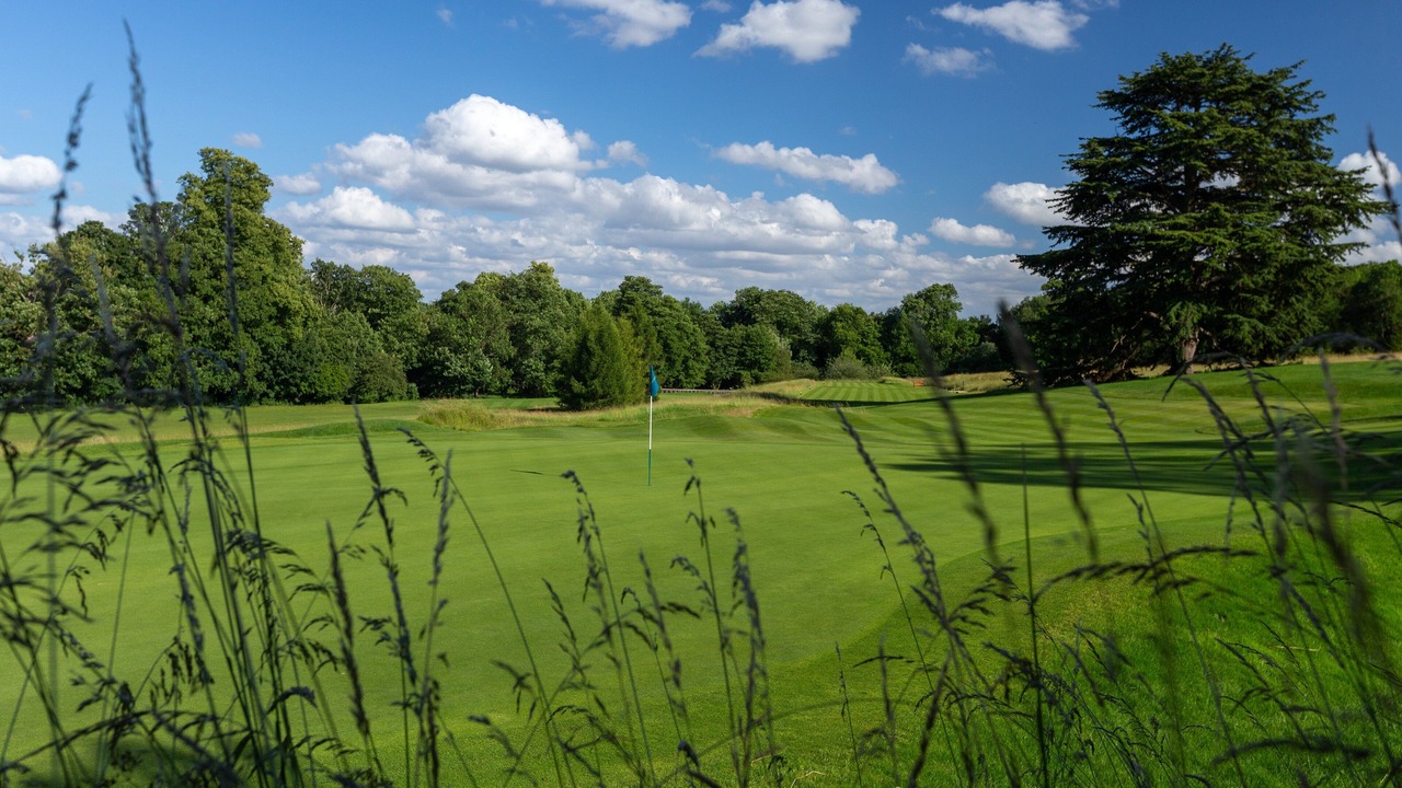Photo of Others in Chandler's Cross
