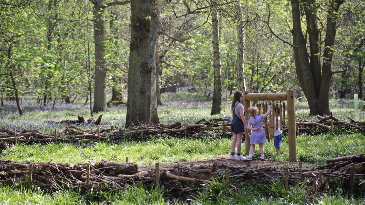 Photo of Others in Chandler's Cross