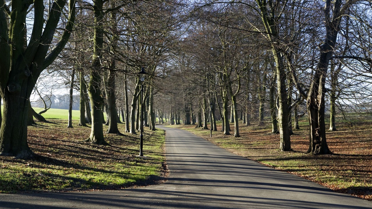 Photo of Outdoor in Luton