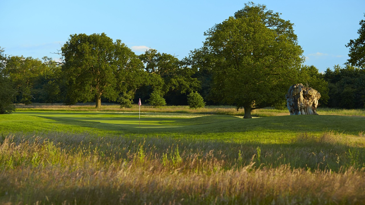 Photo of Outdoor in Luton