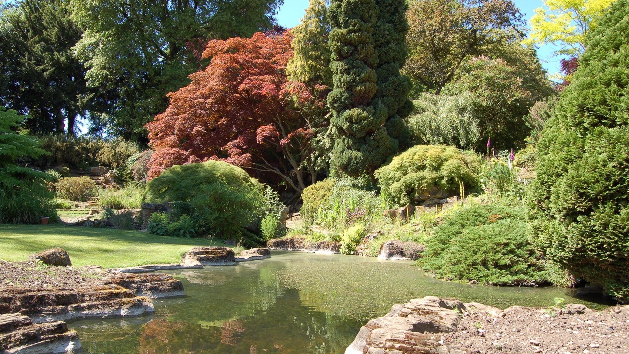 Photo of Outdoor in Luton