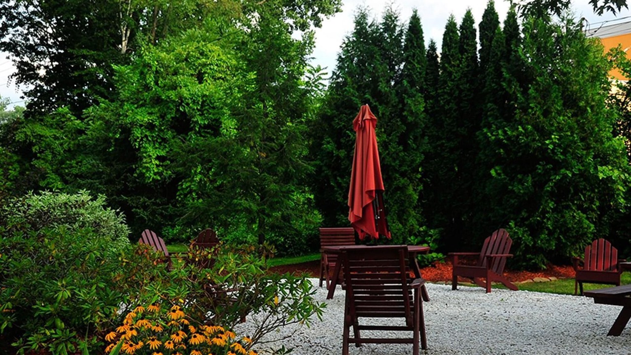 Photo of Outdoor in Williamstown