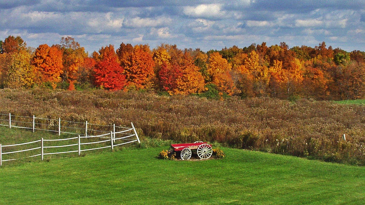 Photo of Outdoor in Penn Yan