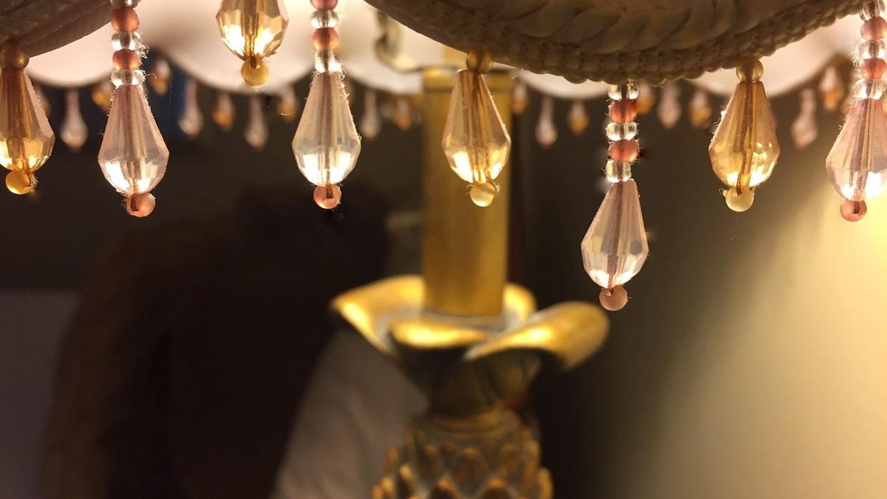 Photo of Outdoor in Barnstable