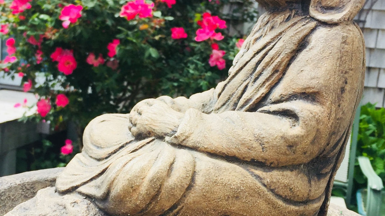 Photo of Outdoor in Barnstable