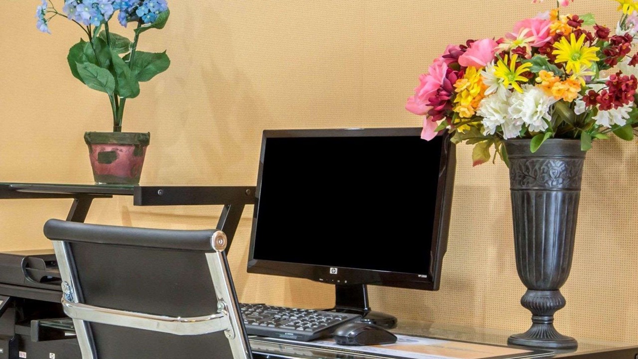 Photo of Others in West Ossipee