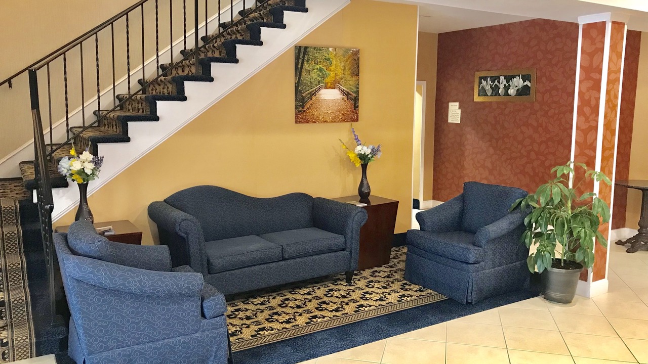 Photo of Others in West Ossipee