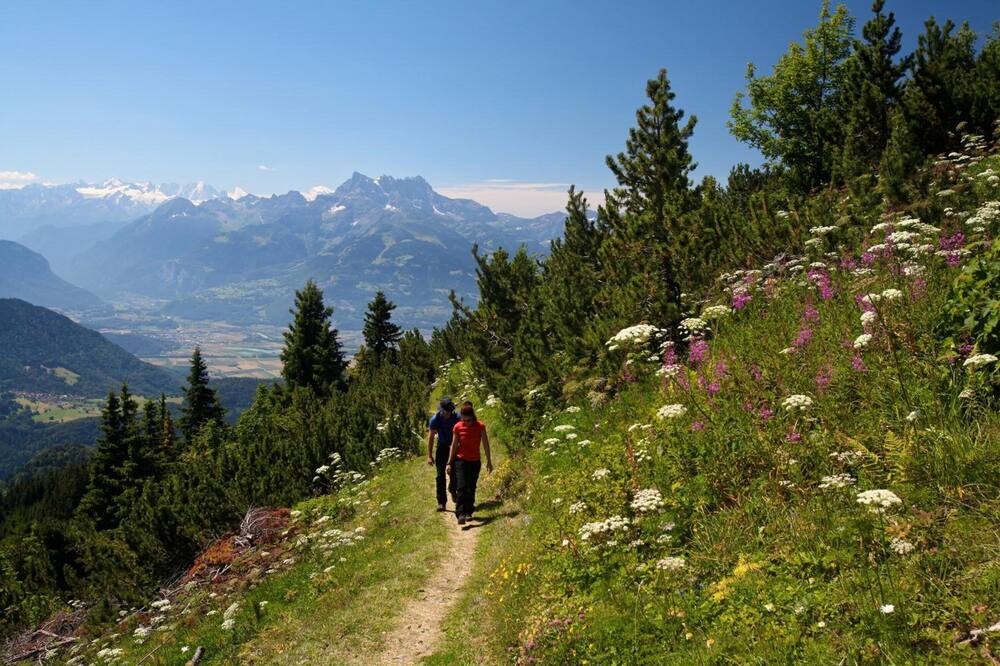 Photo of Others in Leysin