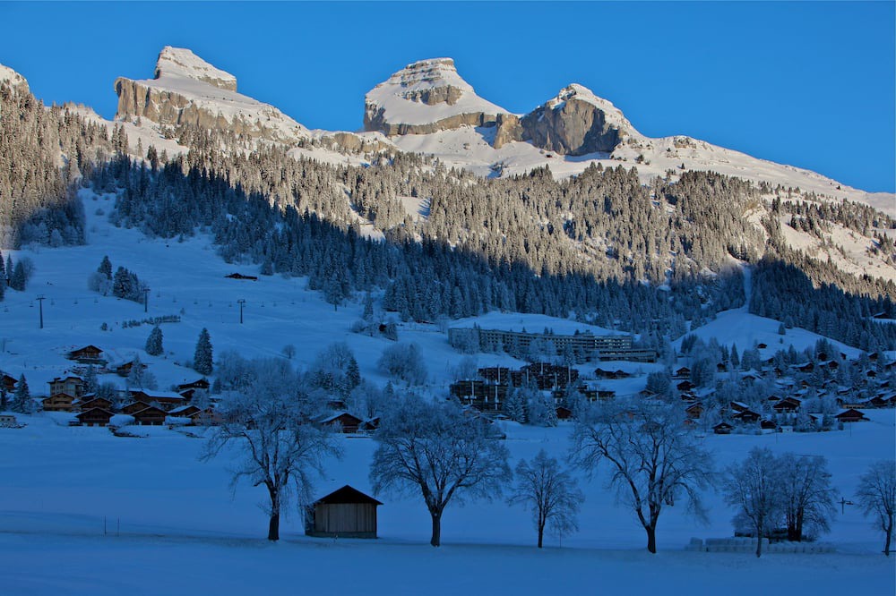 Photo of Outdoor in Leysin