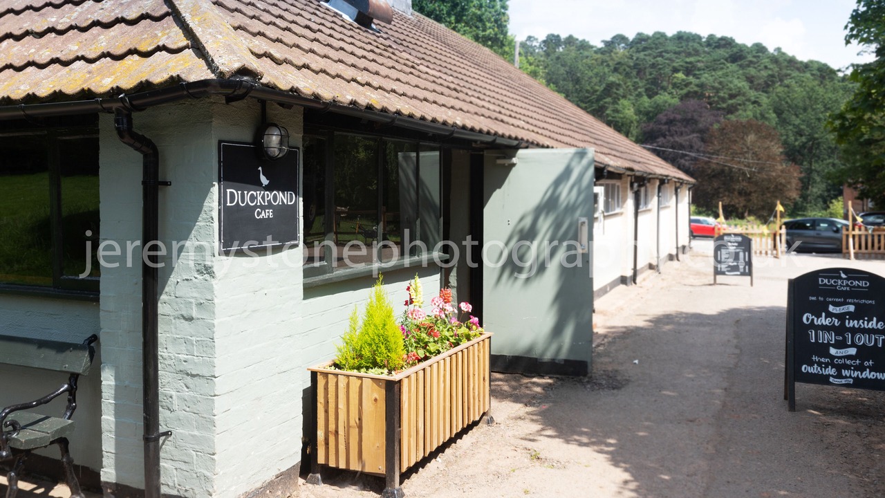 Photo of Others in Cleedownton