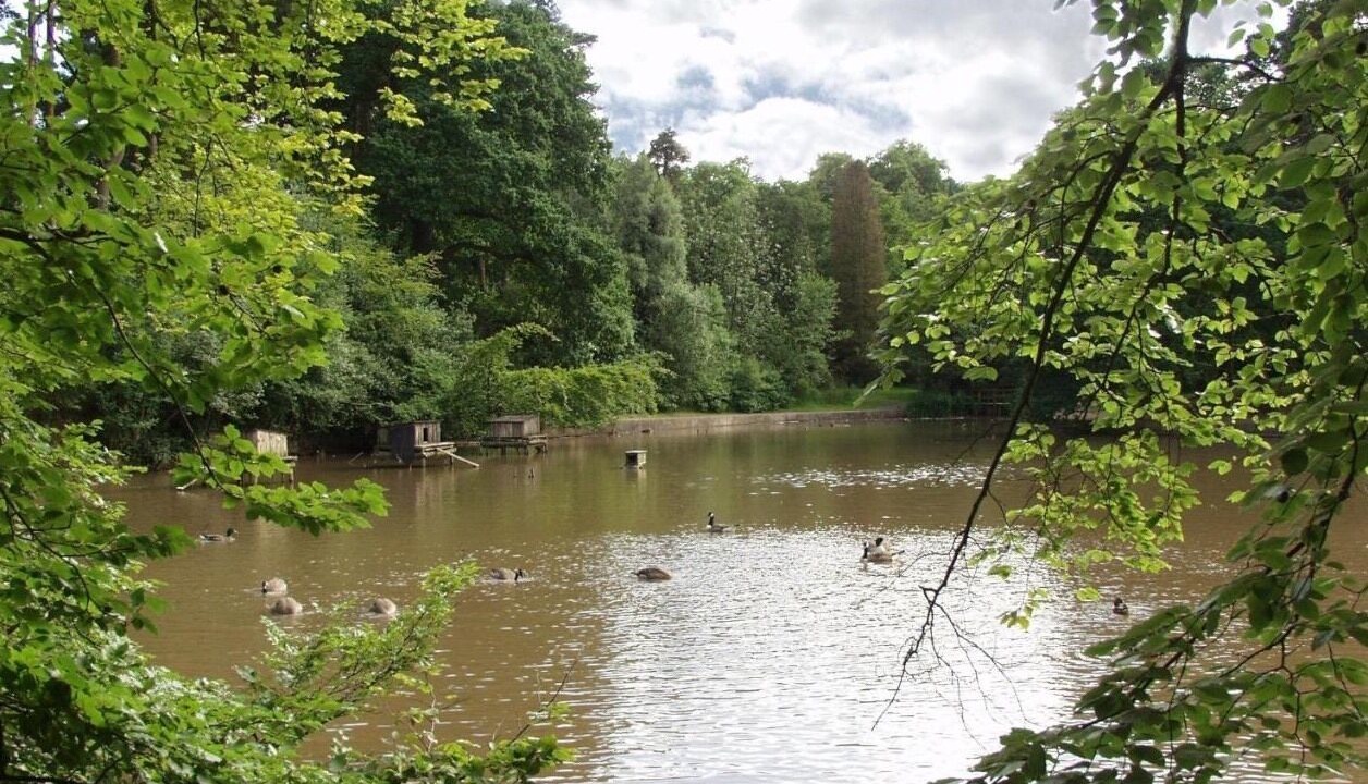 Photo of Others in Cleedownton