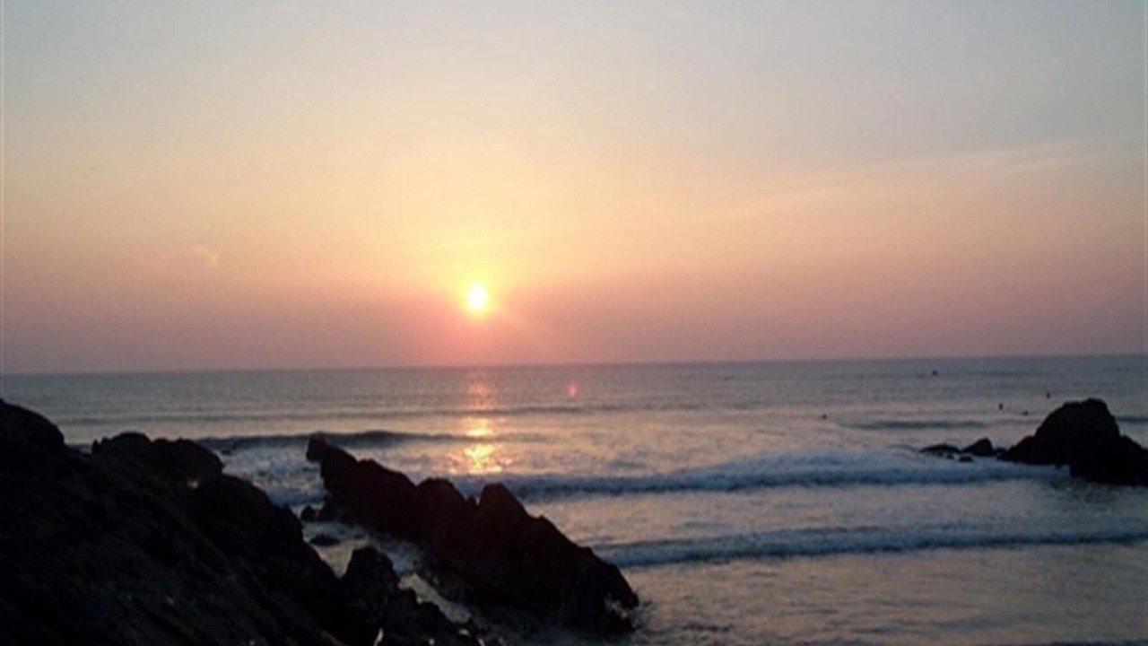 Photo of Others in Bude