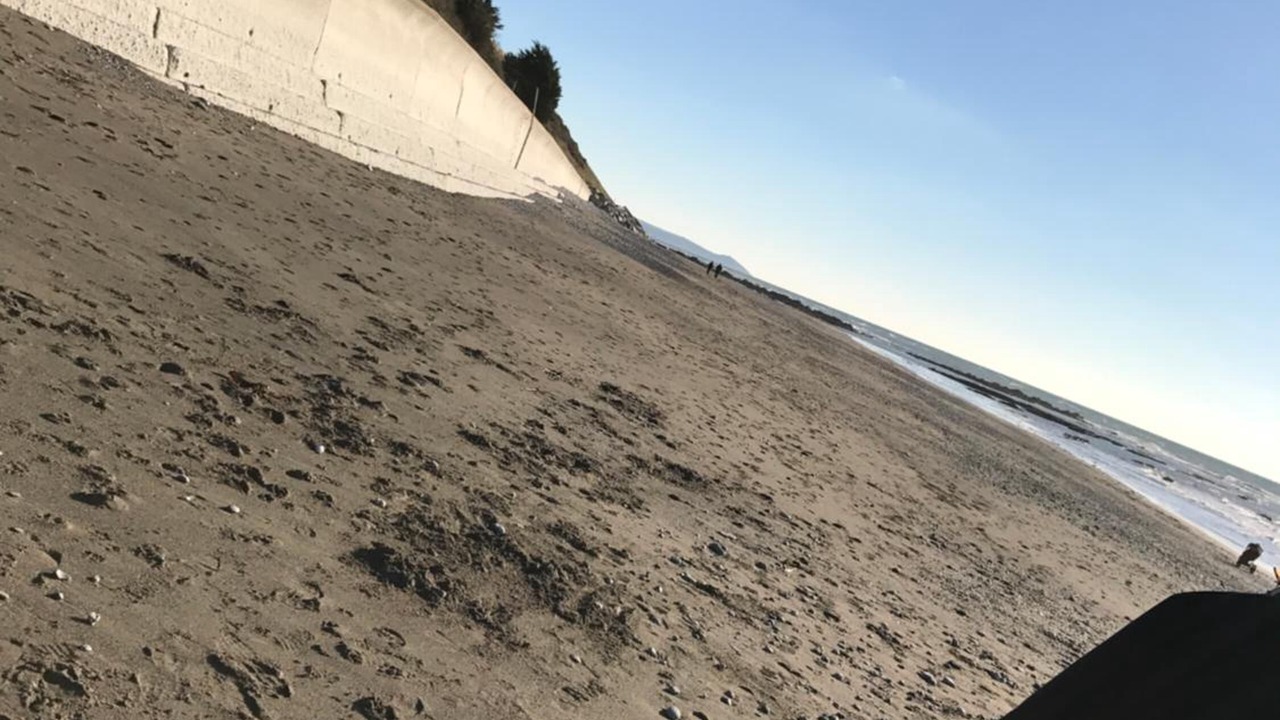 Photo of Others in Bude