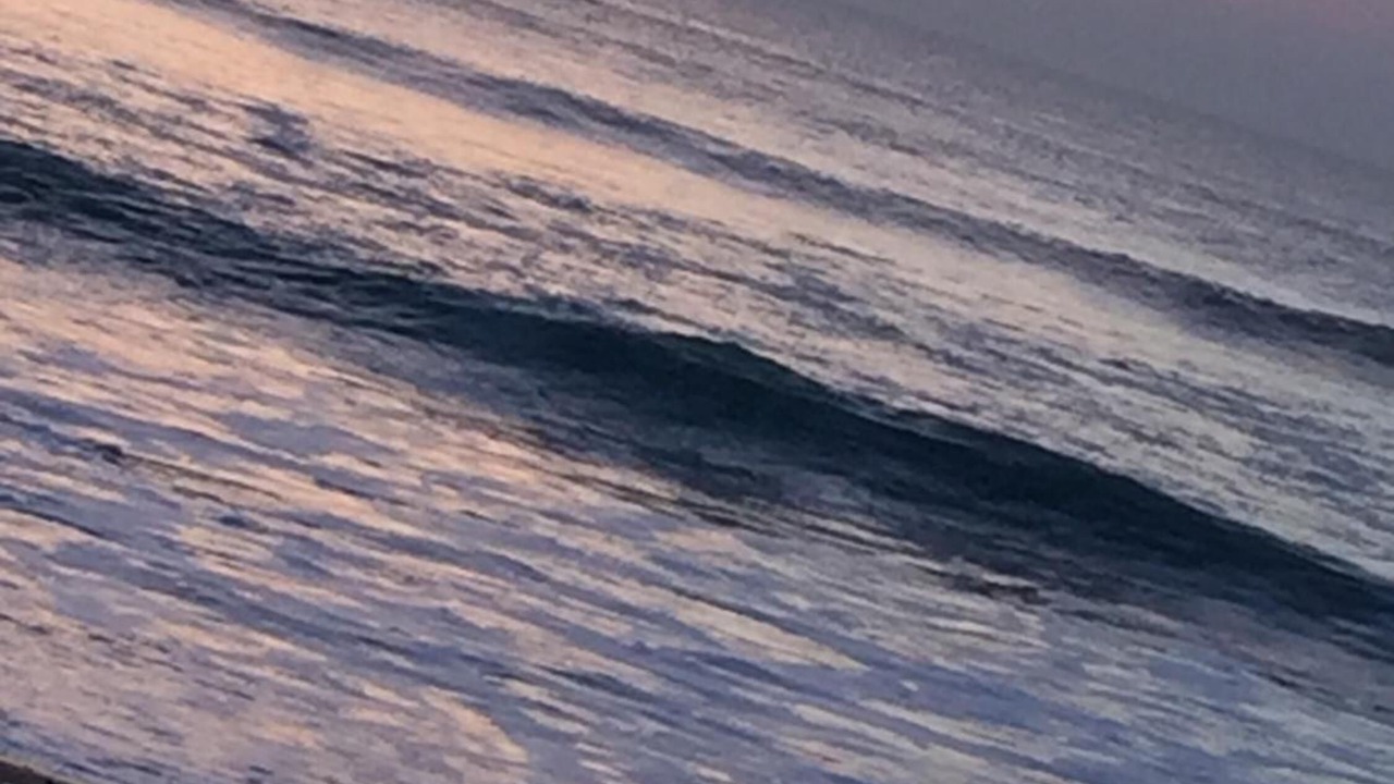 Photo of Others in Bude