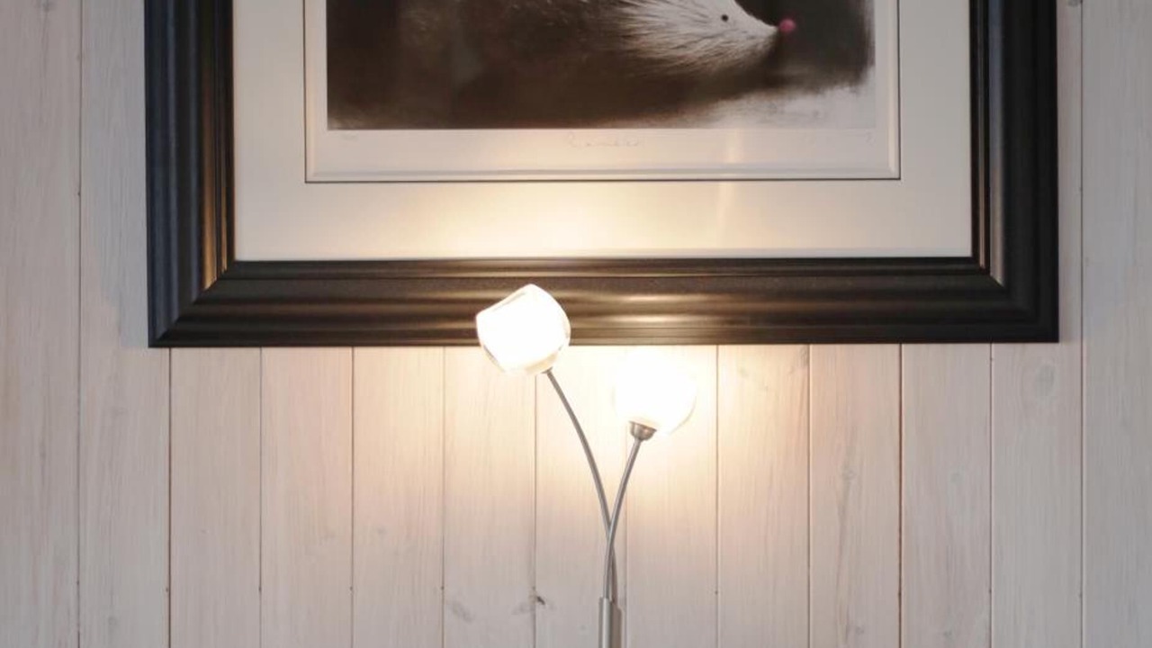 Photo of Others in Bude