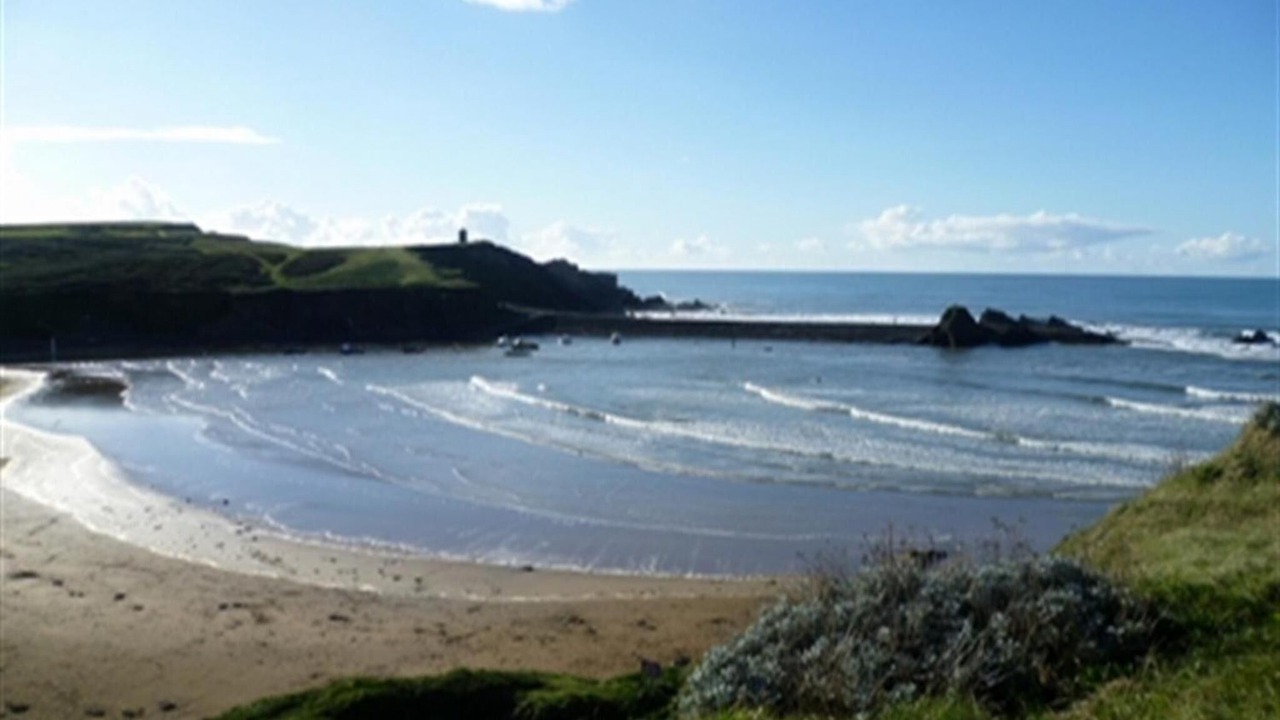 Photo of Others in Bude