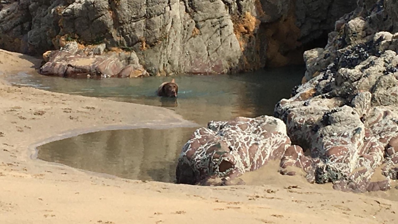 Photo of Others in Bude