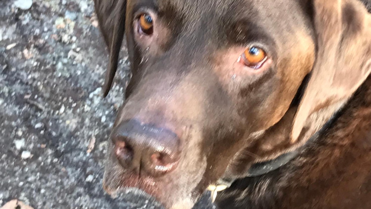 Photo of Others in Bude