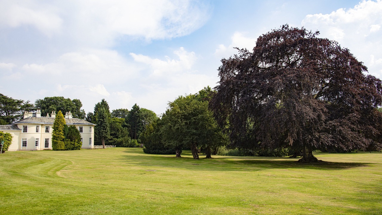 Photo of Outdoor in Brinsley