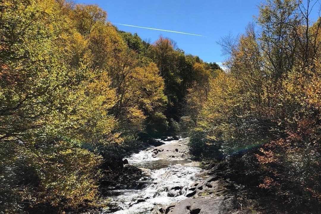 Photo of Outdoor in Flat Rock