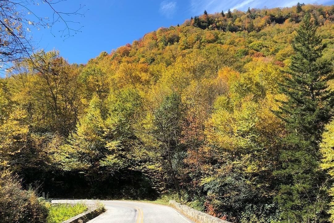 Photo of Outdoor in Flat Rock