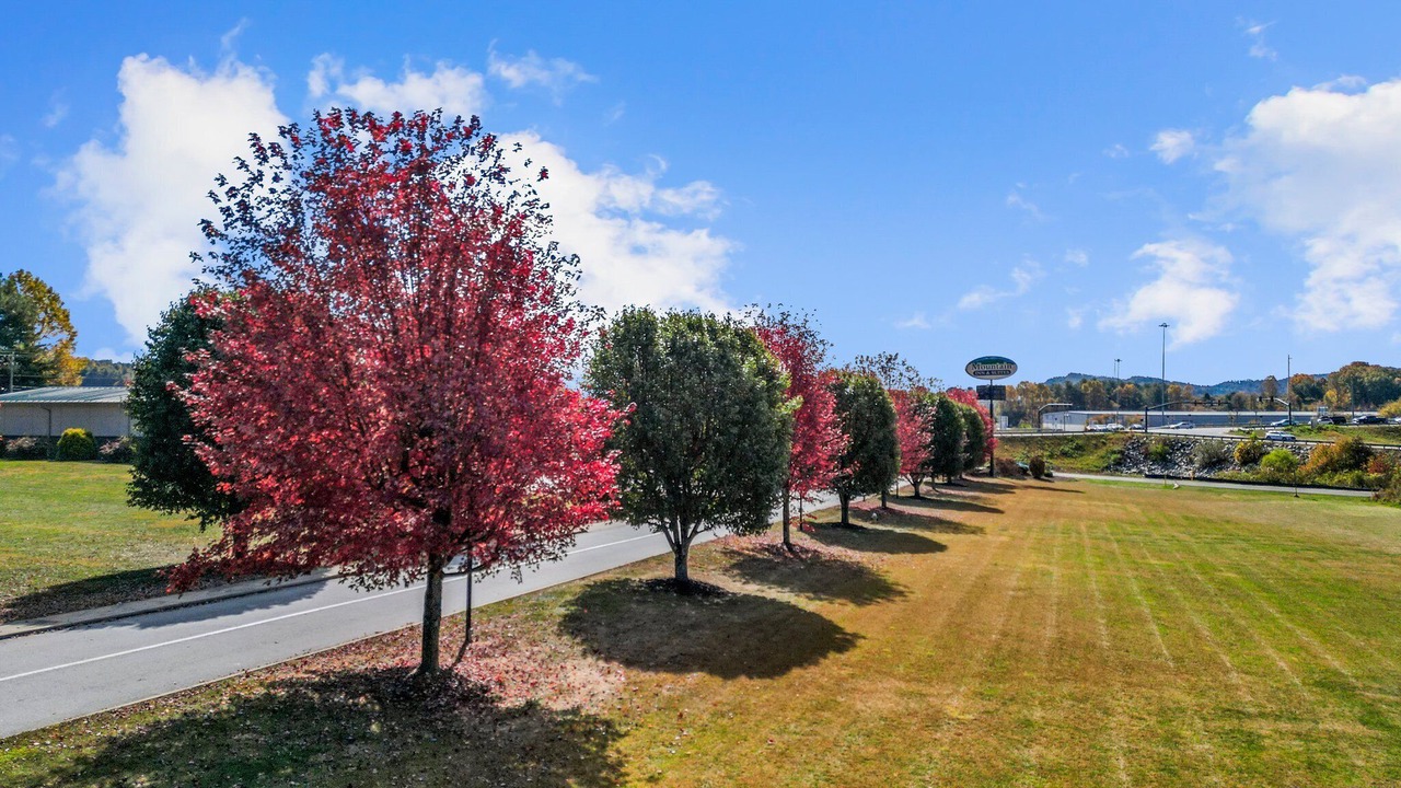 Photo of Outdoor in Flat Rock