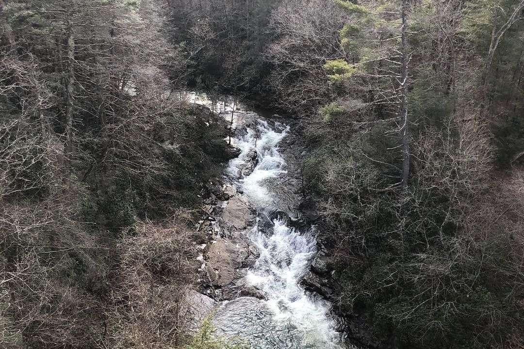 Photo of Outdoor in Flat Rock