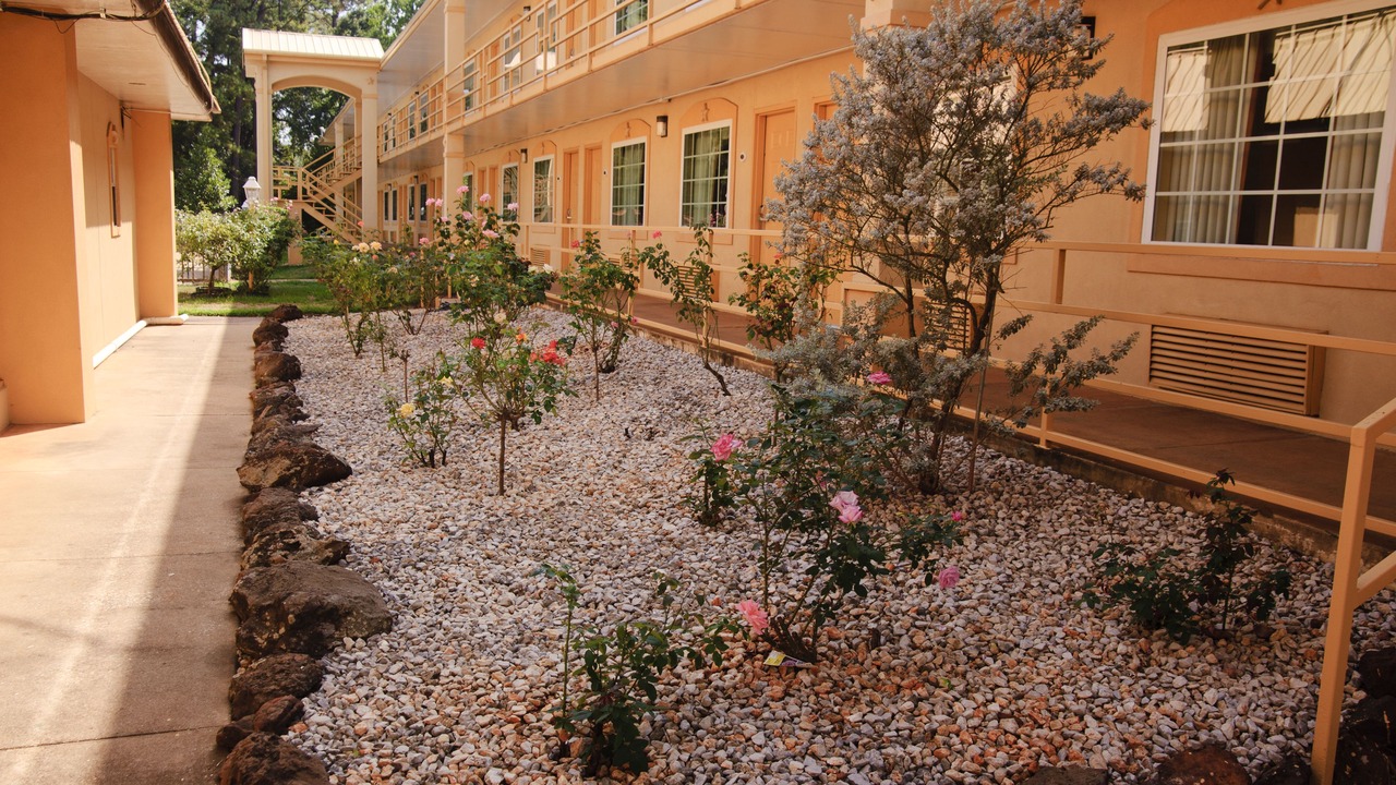 Photo of Outdoor in San Augustine