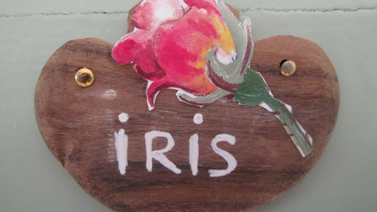 Photo of Bedroom in Ferce-sur-Sarthe