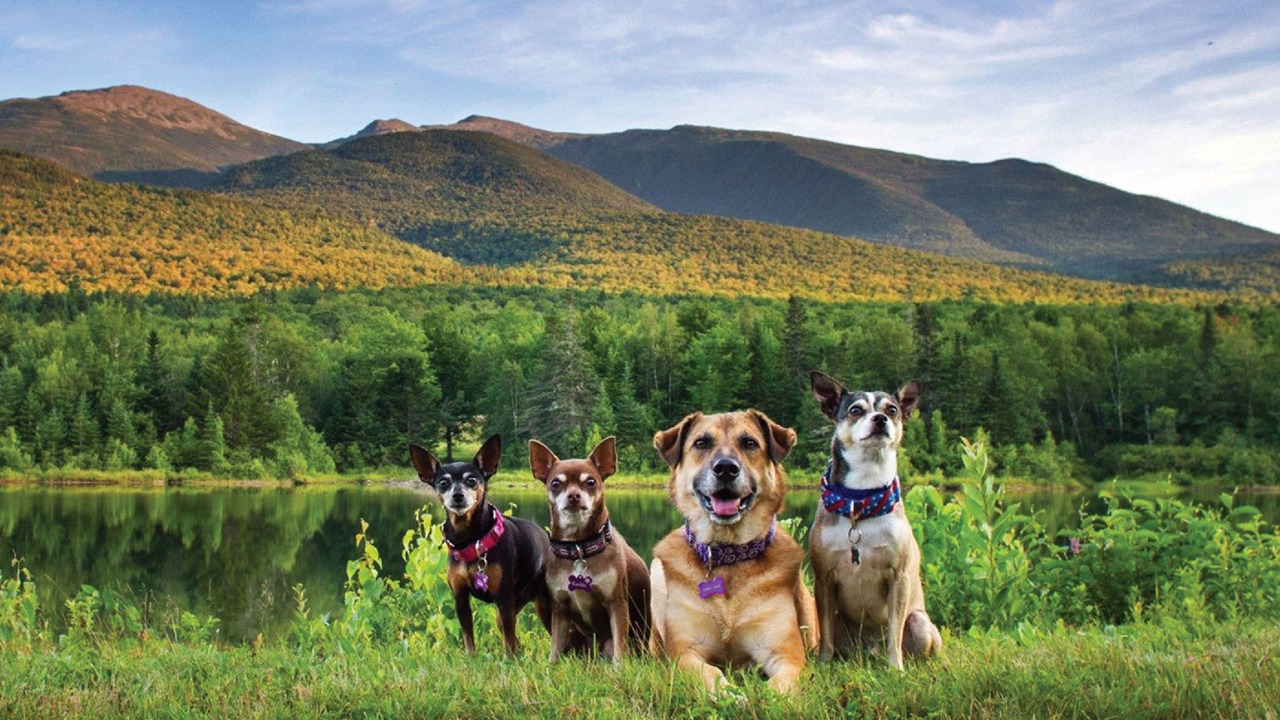 Photo of Others in Milford