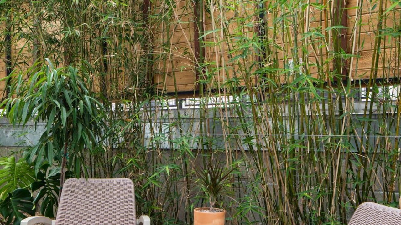 Photo of Patio Balcony in Roseville - Fleet Ridge