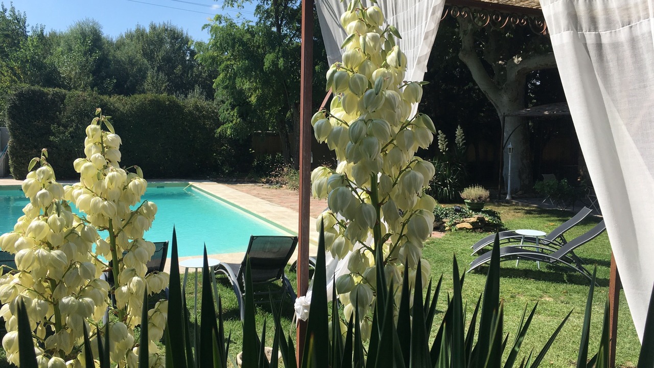 Photo of Outdoor in Chateauneuf-du-Pape