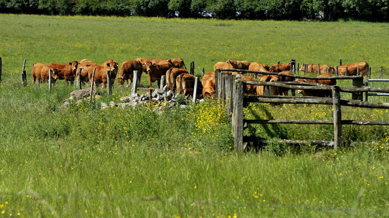 Photo of Outdoor in Mezangers