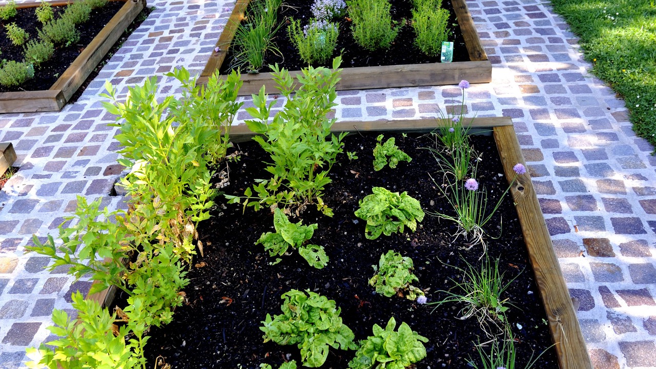 Photo of Outdoor in Mezangers