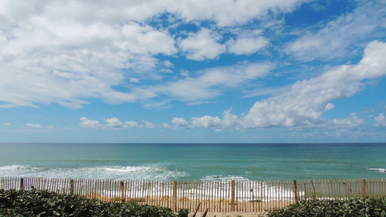 Photo of Others in Cestas