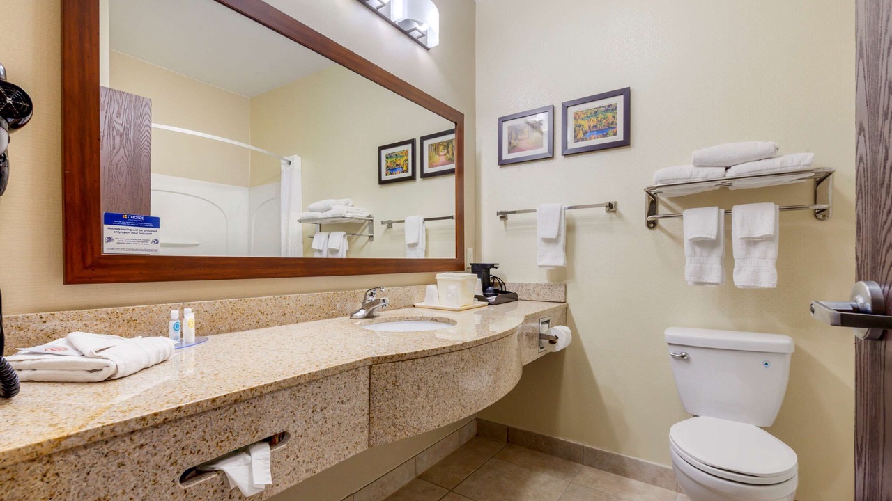 Photo of Others in Plover