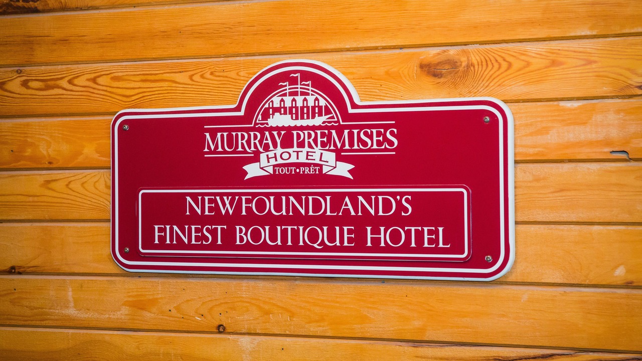 Photo of Others in Downtown St. John's