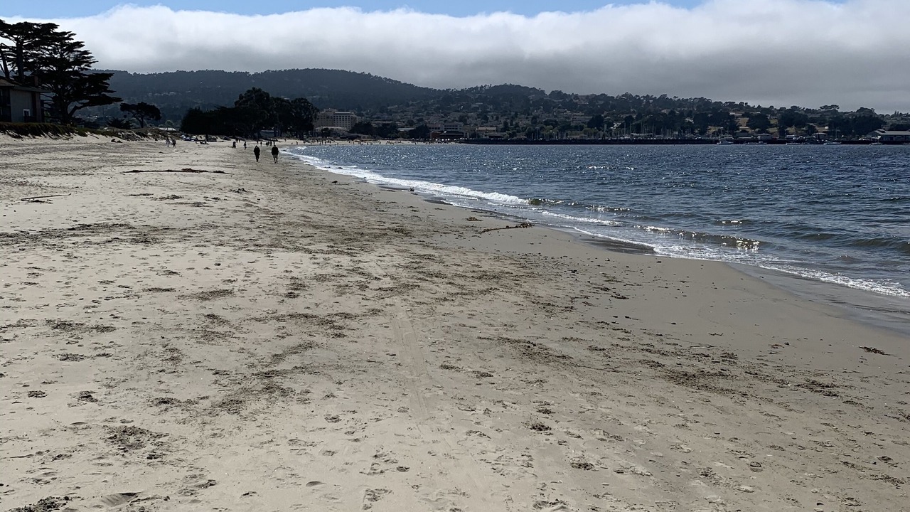 Photo of Others in Monterey